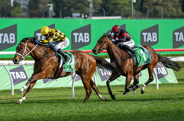 Arrowfield stallions dominate 2025/26 awards