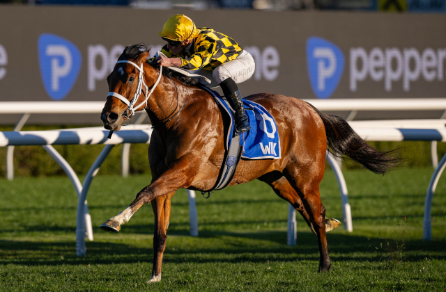 Autumn Glow triumphs in G1 Winx Stakes