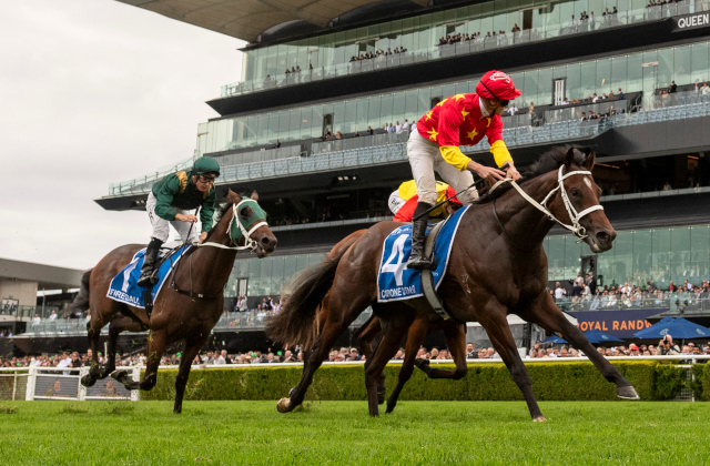 Snitzel wins his 6th 2YO Sires’ Premiership