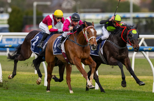 Maurice’s crusade continues at Caulfield