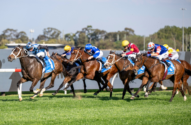 Graduate bonanza at Rosehill
