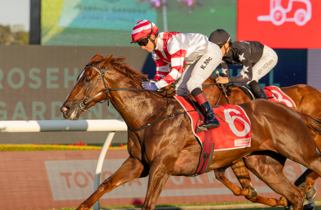 Skyhook heads a fruitful Saturday for graduates