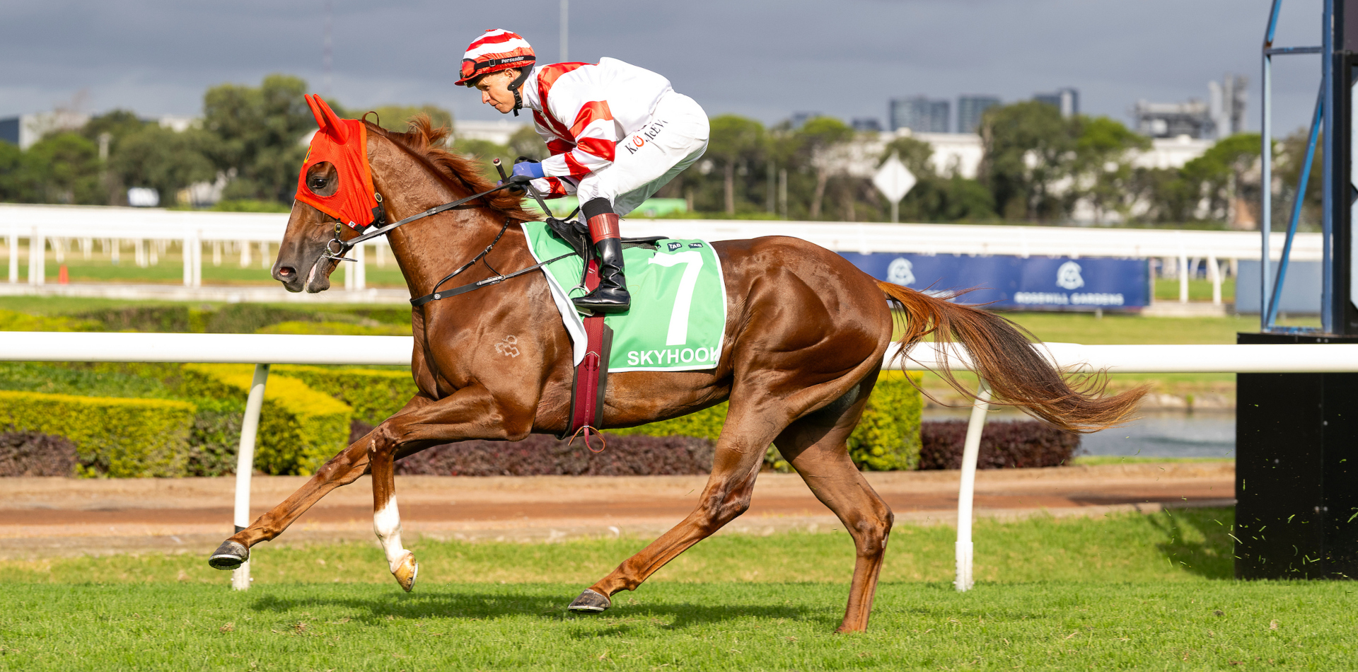 Skyhook heads a fruitful Saturday for graduates