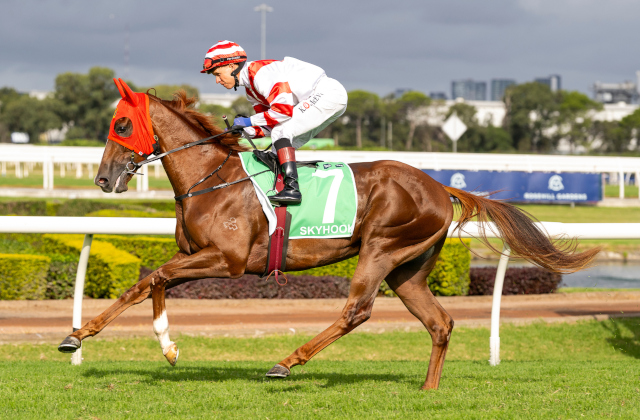 Skyhook heads a fruitful Saturday for graduates
