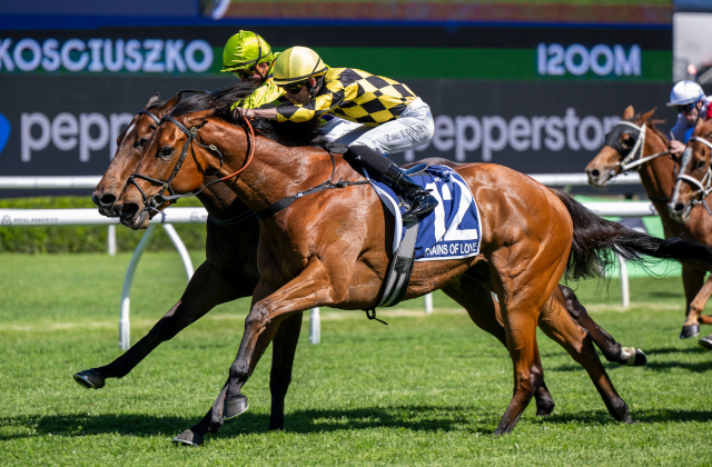 Chains Of Love wins The Kosciuszko