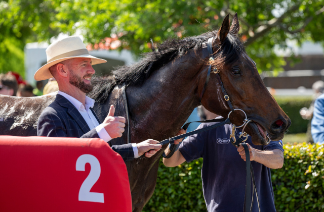 Maurice’s lively Spring continues