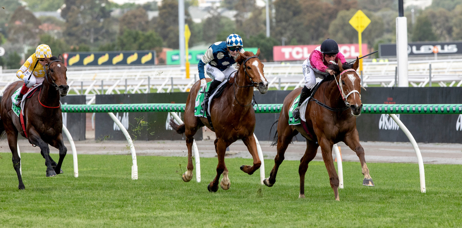 Two G1 winners head a stunning Saturday