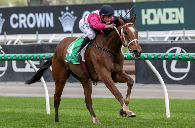Two G1 winners head a stunning Saturday