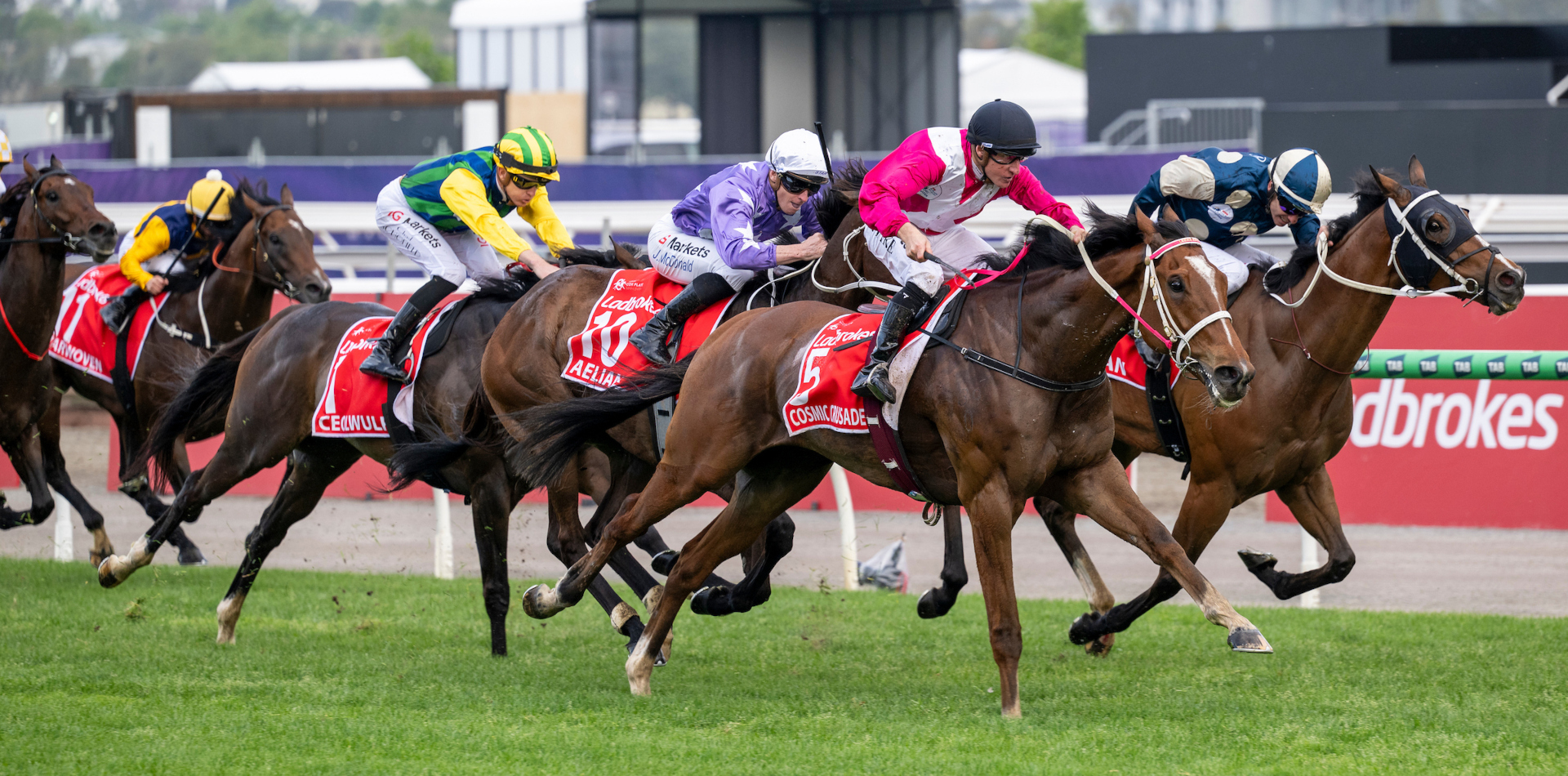 Cosmic Crusader fulfils Cox Plate dream