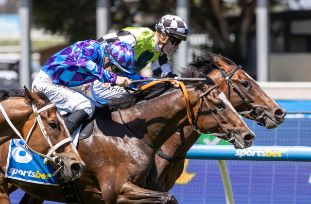 Snitzel notches up Stakeswinner No. 178