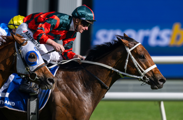 G1 Toorak trifecta for Arrowfield sires