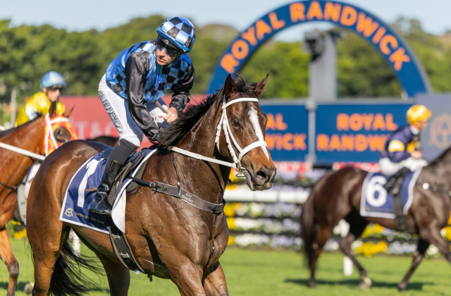 Snitzel’s daughters snare 6-figure features