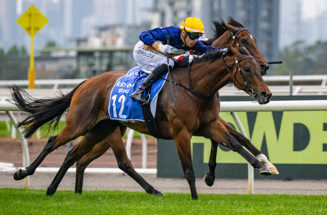 Surfin’ Bird wins G2 Crystal Mile