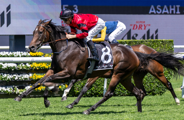 New stakeswinners for Dundeel & Maurice